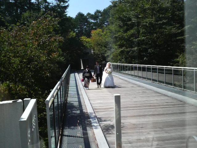 2008091211430000.jpg